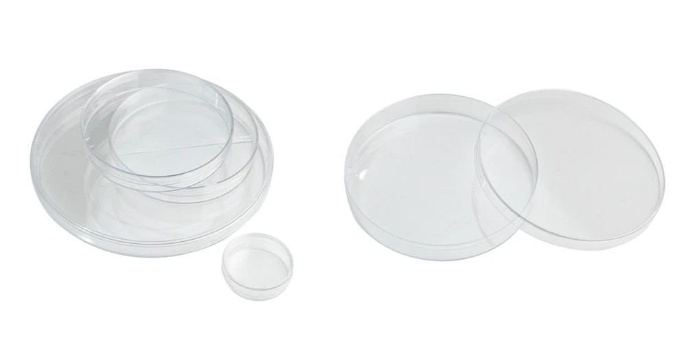 60x15mm Petri Culture 